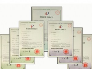國家專利證書（13項）